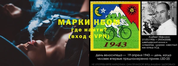 ГАЛЛЮЦИНОГЕННЫЕ ГРИБЫ Алексеевка
