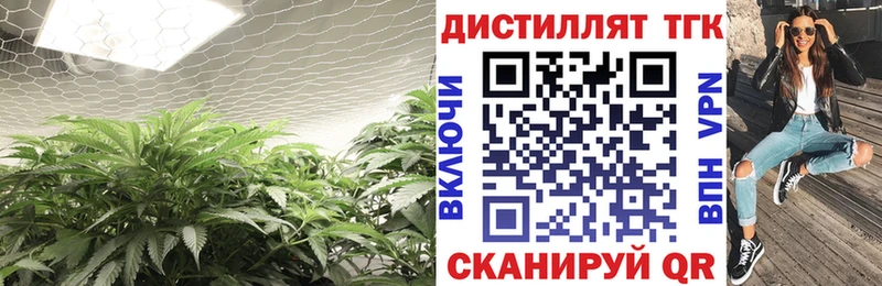ТГК THC oil  купить закладку  Лагань 